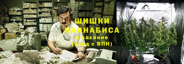 крисы Аркадак