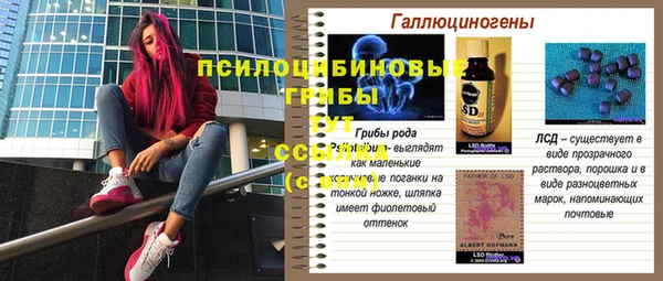 соль курить ск Алзамай